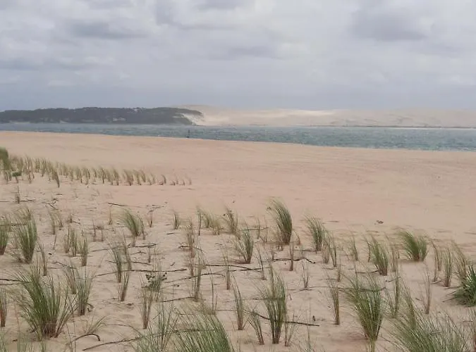 Dune
