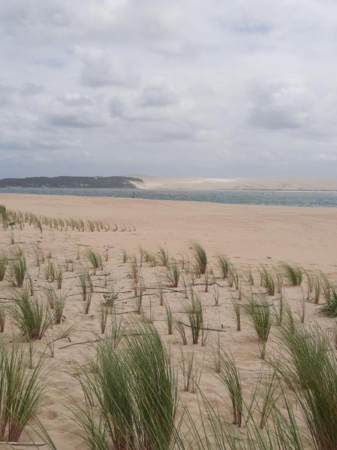 Dune Apartment *